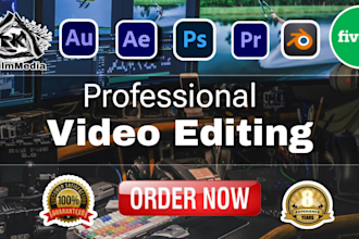 do professional video editing within 24 hours delivery