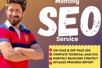 provide monthly SEO service and links building