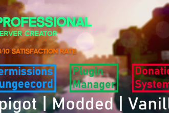 setup a professional minecraft server for you