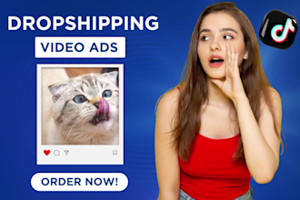 create tik tok video ads, tiktok ads