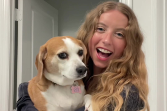 create dog ugc videos for your tiktok or other social media