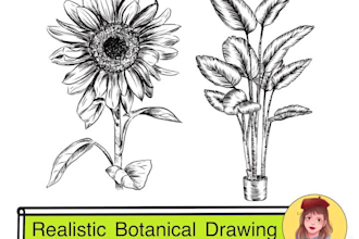 draw  realistic scientific botanical illustrations of flowers or plants design