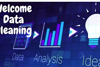 do professional big data cleaning and analysis
