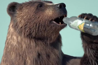 integrate realistic 3d animal model, 3d rigging, xgen fur, 3d animal animation