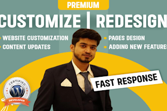 do wordpress updates, website customization, design or redesign