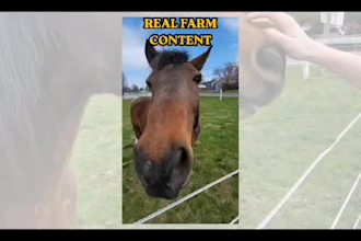 create farm lifestyle ugc content