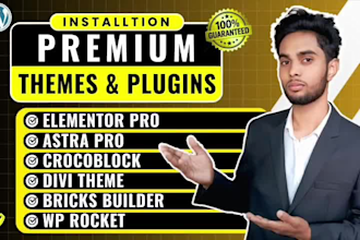 install elementor pro, astra pro, crocoblock, wp rocket or fix wordpress issues
