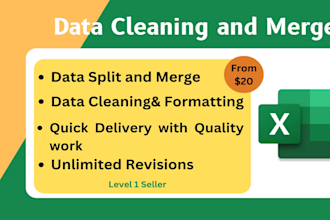 do excel data cleaning, data merge, formatting and analysis