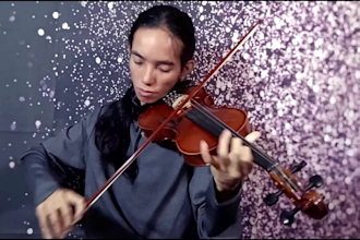 record beautiful HQ violin parts for your song in 2 days