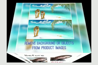 perfectly do image editing and remove the background or items