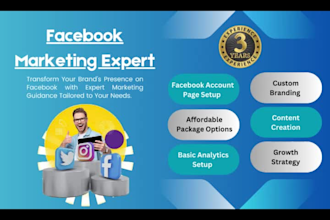 create professional facebook account and page setup with custom posts
