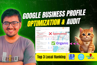 do gbp optimization and gmb audit for your local business