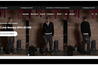 design a modern clothing and fashion shopify store or website