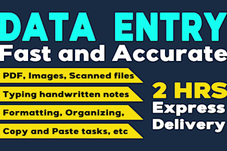 fast and accurate data entry, manual typing work job