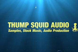 make you a professional sounding beat in any style