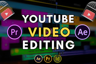 do professional video editor for youtube