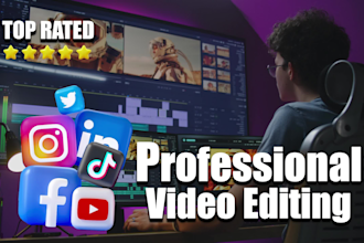 do premium professional video editing with in 24hours