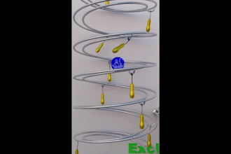 create satisfying marble music animation