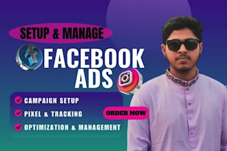 setup facebook ads campaigns, instagram ads, meta advertising campaign, ig ads
