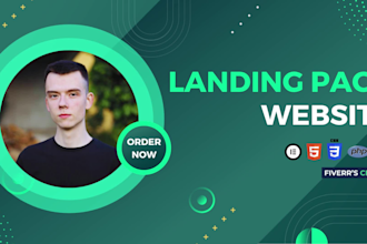 build a professional and responsive landing page