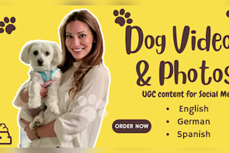 create top notch dog ugc video content for your tik tok or social media