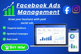 manage facebook ads and lead generation campaigns