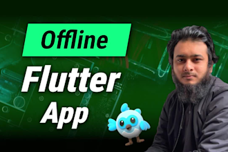 develop flutter offline app