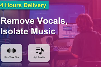 remove vocals from any song within 24 hours in high quality