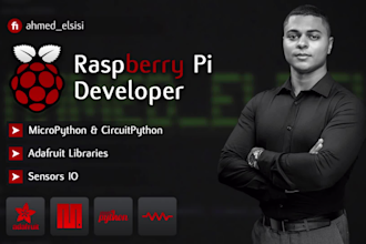 do raspberry pi coding embedded systems iot circuit design