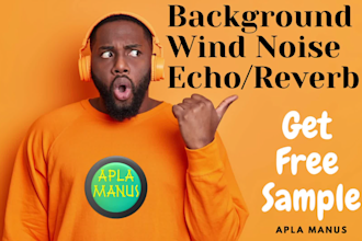 remove wind, echo reverb, clean up noise for  audio or video