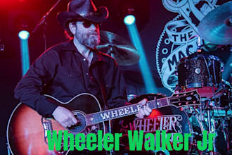 perform and produce  professional outlaw custom country song