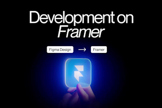 professionally develop your website on framer