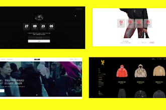 build a custom website for your clothing brand