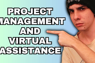 be your professional project manager and virtual assistant