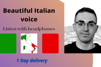 voice over your youtube video with a deep young  voice