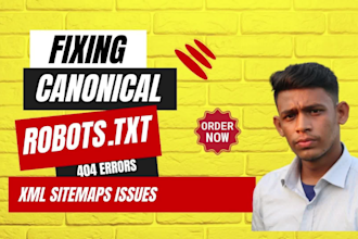 fix canonical, 404, robots txt, XML sitemap and google indexing issues