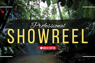 edit your sizzle demo reel, media reel, speaker reel editor