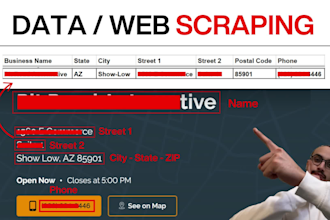 do web scraping, data mining and extraction within 24 hrs