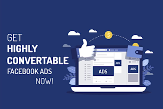 grow your b2b or b2c local business or online business by meta ads