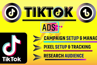 create, run and manage tiktok ads campaign, tik tok ads, tiktok advertising