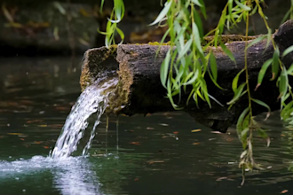 create 50 meditation videos , yoga , spa ,waterfall, rain, nature sounds