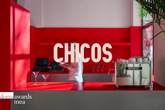 design a premium logo and brand guidelines for your business