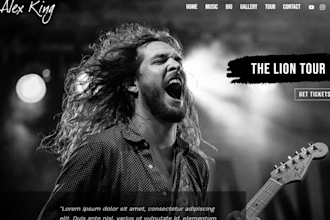 design professional artist epk website design one page epk for dj speaker band
