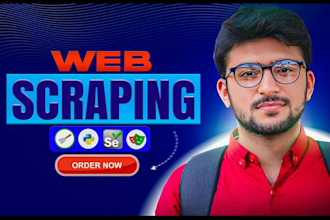 do web scraping, data mining and extraction from any website