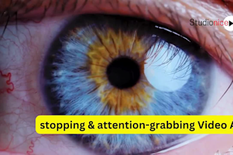 create dropshipping tik tok facebook video ads snapchat ads