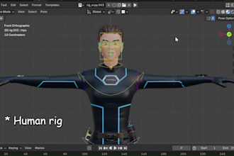do 3d rigging  professionally in blender