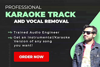 do professional karaoke track extraction from any song