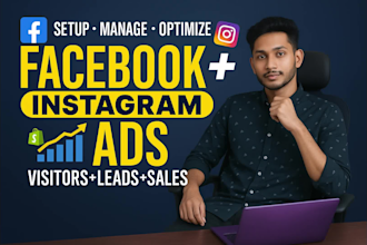 run and manage facebook ads, instagram ads, fb ads, and meta ads campaign