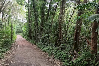 provide you beautiful relaxing village nature videos with meditation music