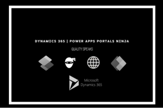 develop powerapps and power pages portals custom apps